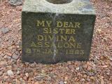 image of grave number 258696